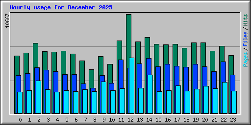 Hourly usage for December 2025